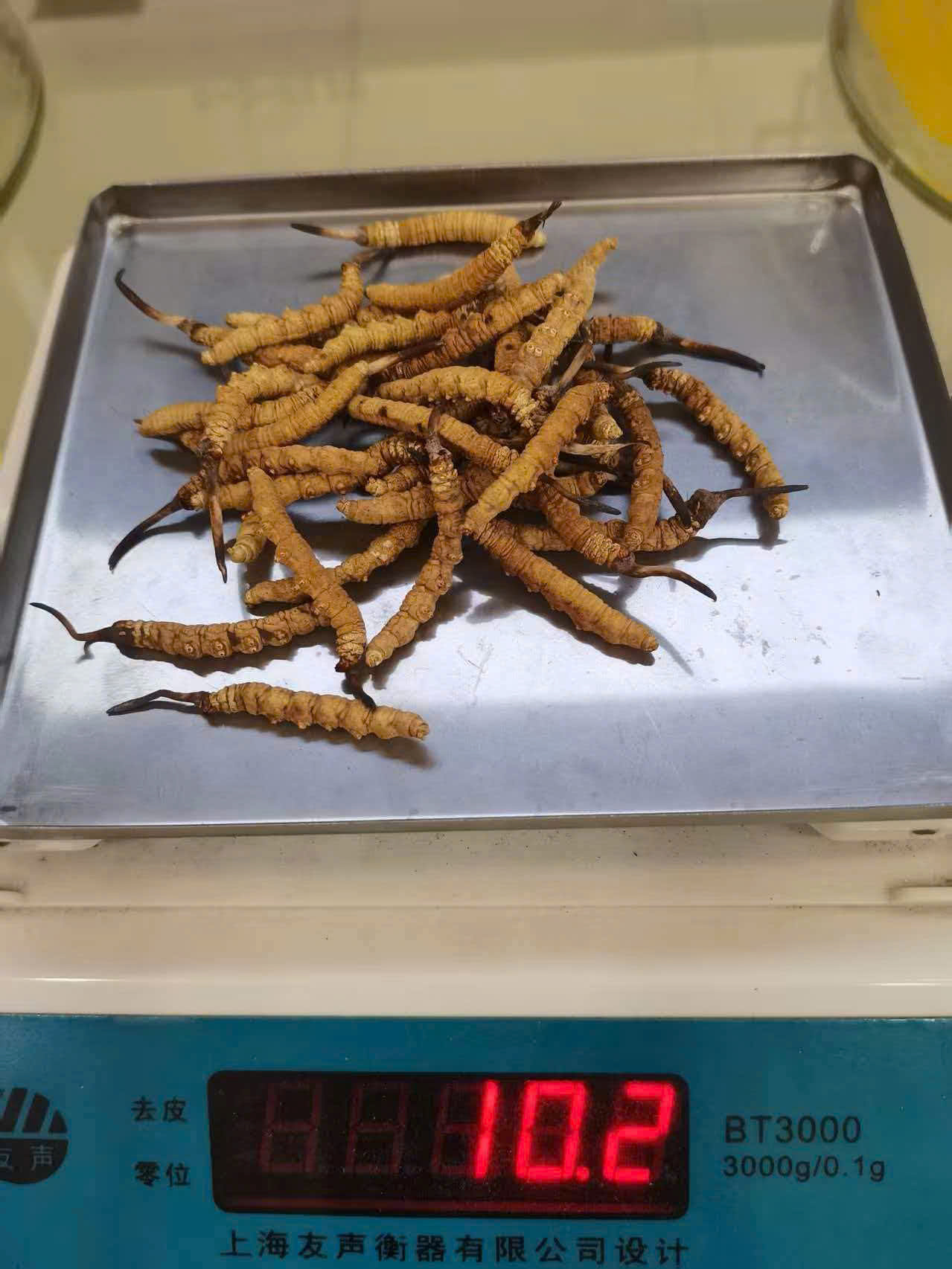 Đông trùng hạ thảo khô loại 4 con 1 gram